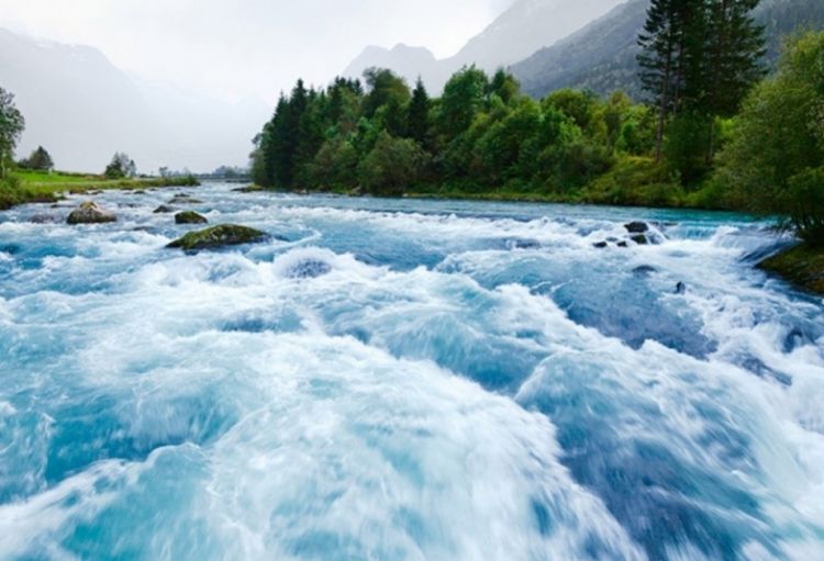 Bu gün Beynəlxalq Çaylar Günüdür