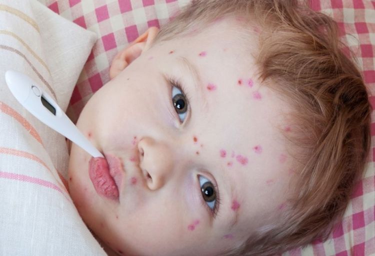 Yaz aylarında yayılan infeksion xəstəliklər