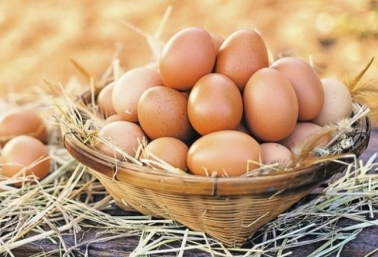 Yumurtanın topdansatış qiyməti artmayıb <font color='red'> - açıqlama</font>