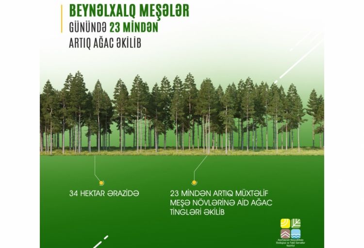Beynəlxalq Meşələr Günündə 23 mindən çox ağac əkilib