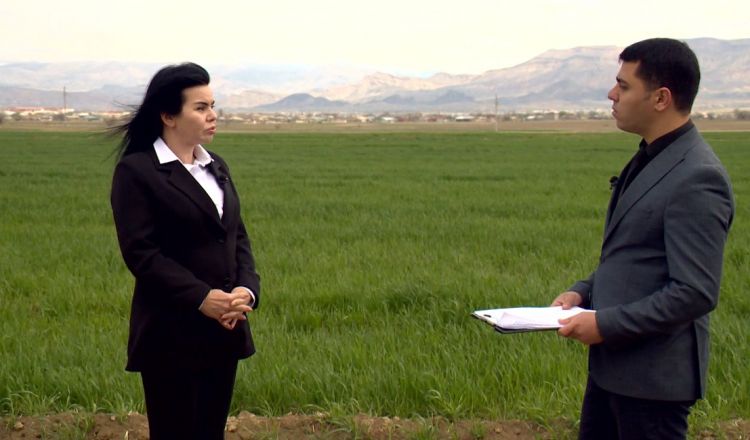 Naxçıvanın kənd təsərrüfatı nazirinin müavini Xəyalə Dadaşova NTV-yə müsahibə verib<font color='red'> - YENİLƏNİB</font><font color=red> - VİDEO</font>
