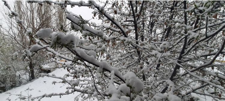 Aprel ayında Naxçıvana qar yağıb<font color='red'> - YENİLƏNİB</font><font color=red> - VİDEO</font>