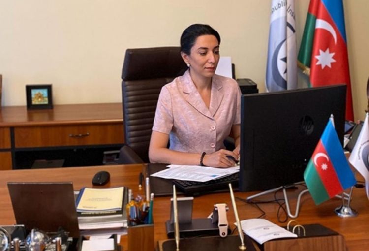 Ombudsman: Beynəlxalq ictimaiyyətin Ermənistanın mina təhlükəsi ilə bağlı tədbirlər görməməsi təəssüf doğurur