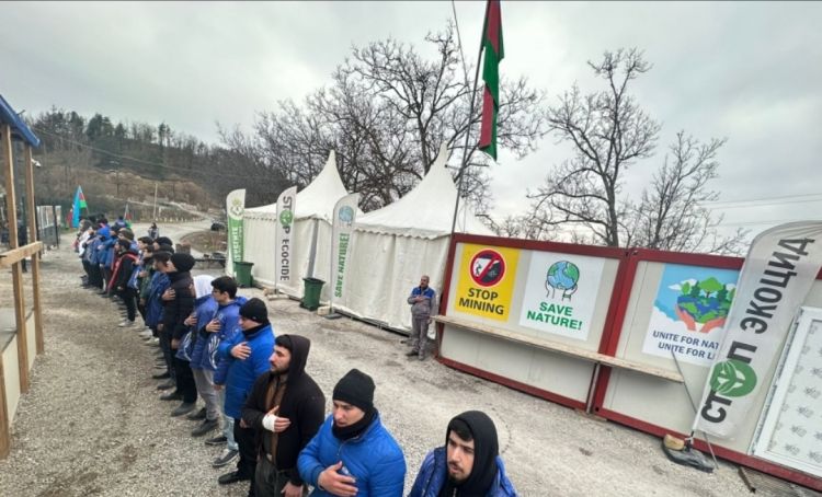 Dinc aksiyada 119-cu gün: ekofəallar tələblərində qətiyyətlidirlər