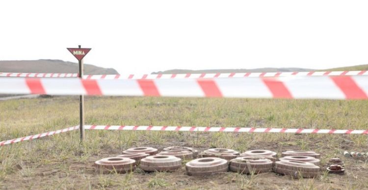 İndiyədək minadan təmizlənən ərazilərin sahəsi açıqlanıb