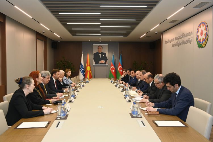 Ceyhun Bayramov və ATƏT sədrinin müzakirə etdiyi məsələlər açıqlanıb