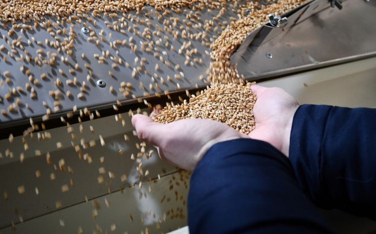 Polşa Ukrayna taxılı olan bütün tranzit yükləri möhürləyəcək