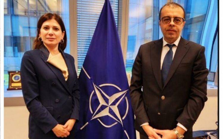 Azərbaycan səfiri NATO Baş katibinin xüsusi nümayəndəsi ilə görüşüb