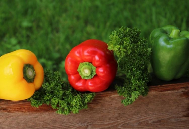 Bolqar bibəri ürək-damar xəstəliklərinin profilaktikası üçün faydalıdır