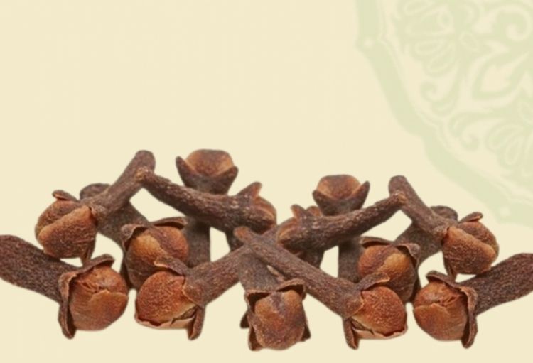 Mixək yaşlı insanların qan damarları üçün faydalıdır