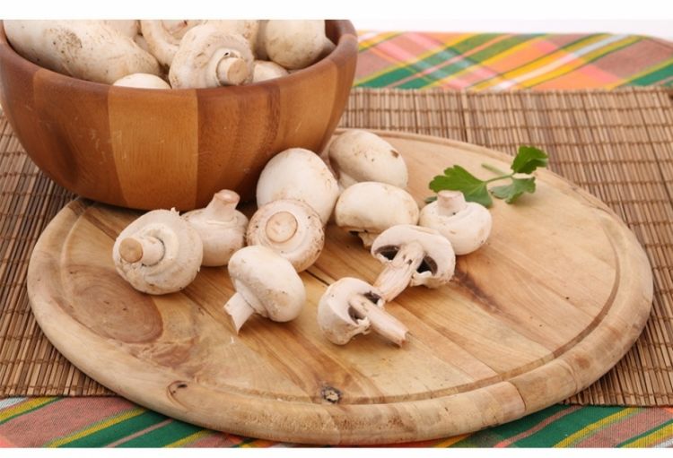 Şampinyon bağırsaq mikroflorasının vəziyyətini yaxşılaşdırır