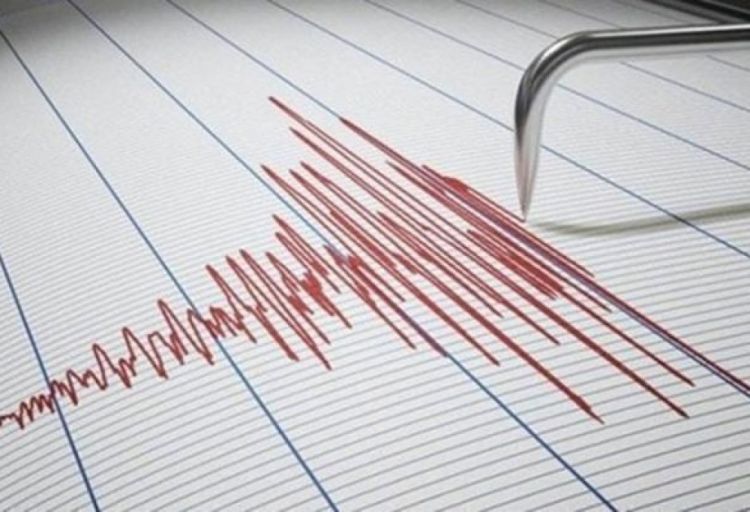 Yeni Zelandiyada 7,2 bal gücündə zəlzələ olub