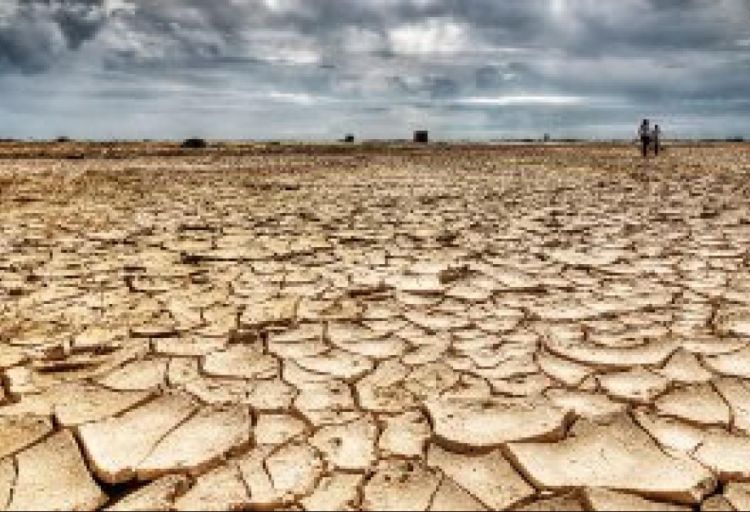 İspaniyada 161 illik suvarma kanalları quraqlıq səbəbindən sıradan çıxacaq