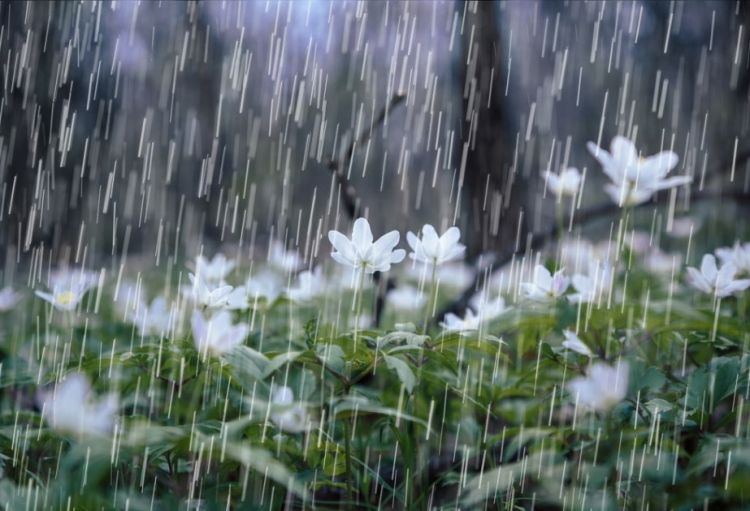 Naxçıvanda sabaha olan hava proqnozu