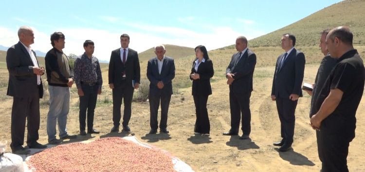 Naxçıvanda aqrar sahəyə xarici şirkətlərin marağı artıb<font color=red> - VİDEO</font>