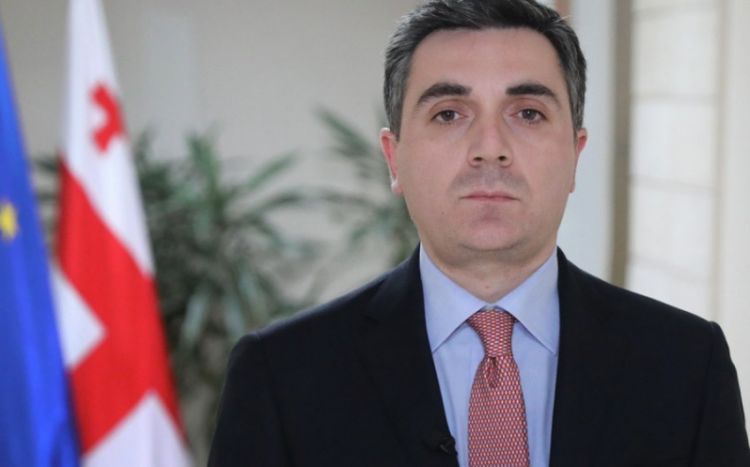 Gürcüstan XİN başçısı Rusiyanın viza rejiminin ləğvi qərarını alqışlayıb