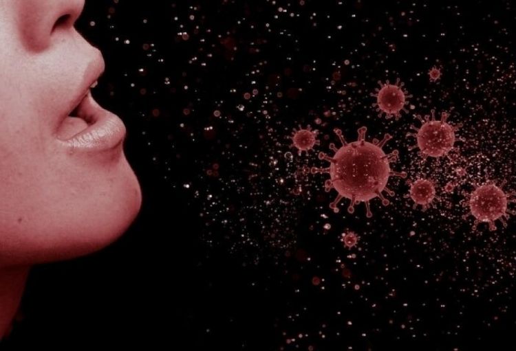 Ümumdünya Meteorologiya Təşkilatı: Havanın keyfiyyəti COVID-19 virusunun ötürülməsində ikinci dərəcəli rol oynayır