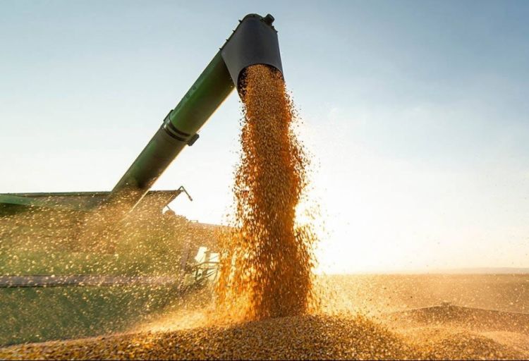 Türkiyə və Rusiya prezidentləri taxıl sazişinin uzadılmasını müzakirə edə bilərlər