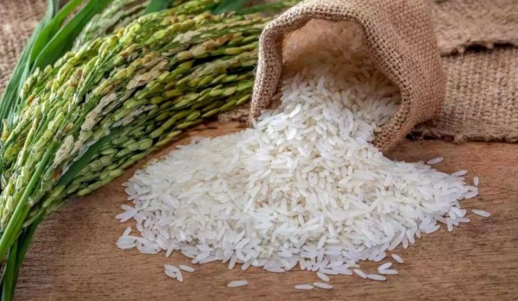 Azərbaycanda satışda olan düyülərlə bağlı monitorinqlərin nəticələri açıqlanıb