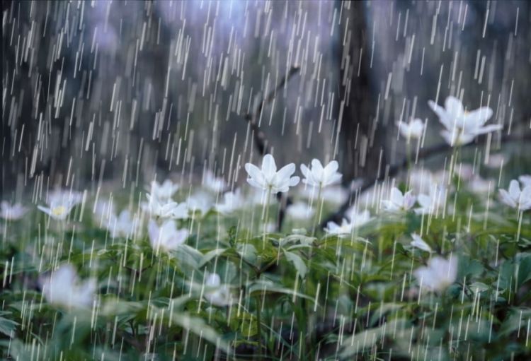 Qeyri-sabit, yağıntılı hava şəraiti iyunun 3-ü gündüzədək davam edəcək