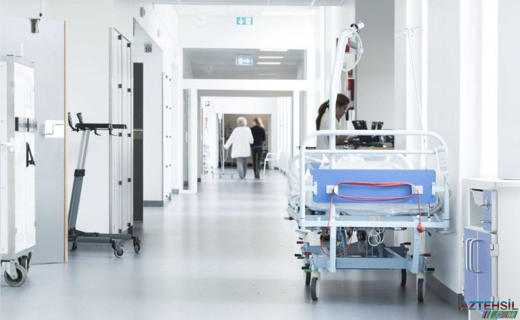 ​​​​​​​Naxçıvanda yeni özəl təhsil və tibb müəssisələri açılacaq