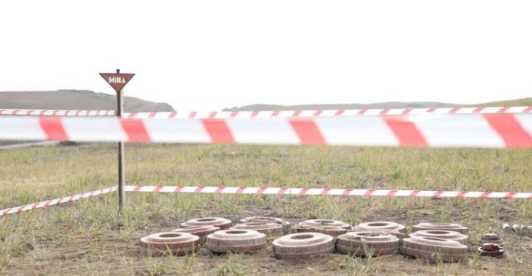 İsveç Azərbaycanın işğaldan azad olunmuş ərazilərində minatəmizləmə prosesində iştiraka dəvət edilib