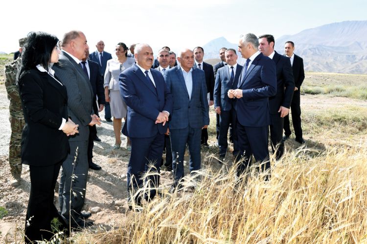 Muxtar respublikada taxıl biçininə start verilib<font color=red> - FOTOLAR</font>