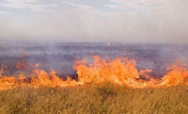 Dövlət Xidməti biçilmiş sahələri yandıran şəxslərə xəbərdarlıq edib