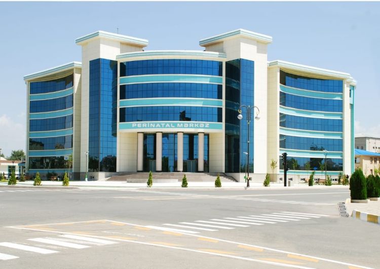 Naxçıvanda Perinatal Mərkəzin Müalicə işləri üzrə müavini Nəzakət Quliyeva tutduğu vəzifədən azad edilib