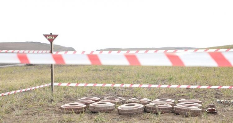 Azad edilmiş ərazilərdə aşkarlanan minaların sayı açıqlanıb