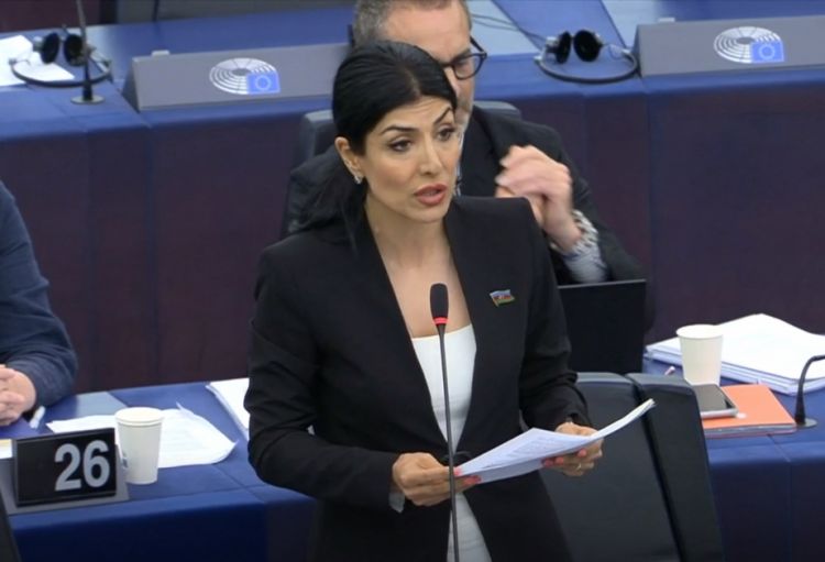  Azərbaycanlı deputatın məruzəsi AŞPA-da qəbul olunub
