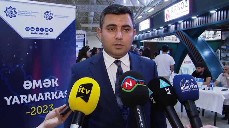 Nazir: "Naxçıvanda 500 nəfər haqqı ödənilən ictimai işlərə cəlb edilib"