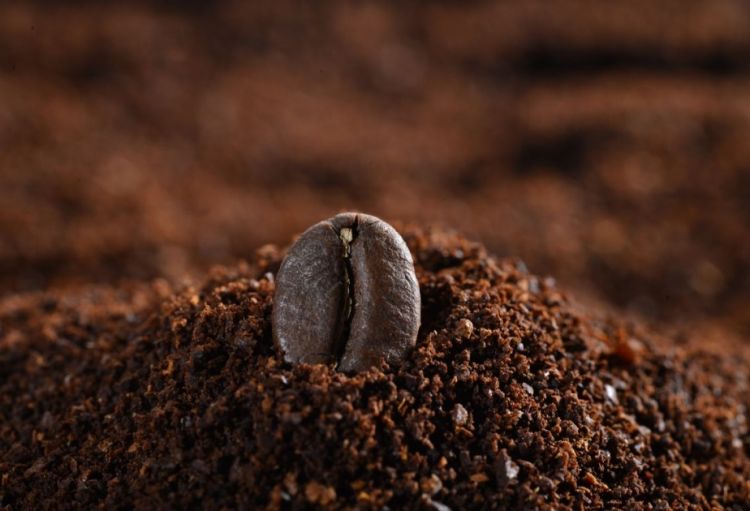 Qəhvə içkisinə əlavələr edilməlidirmi?