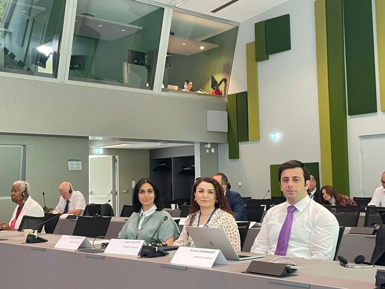 Ali Məclisin deputatı Aidə Cəlilzadə Strasburqda Avropa Şurası Konqresinin Cari Məsələlər Komitəsinin iclasında iştirak edib