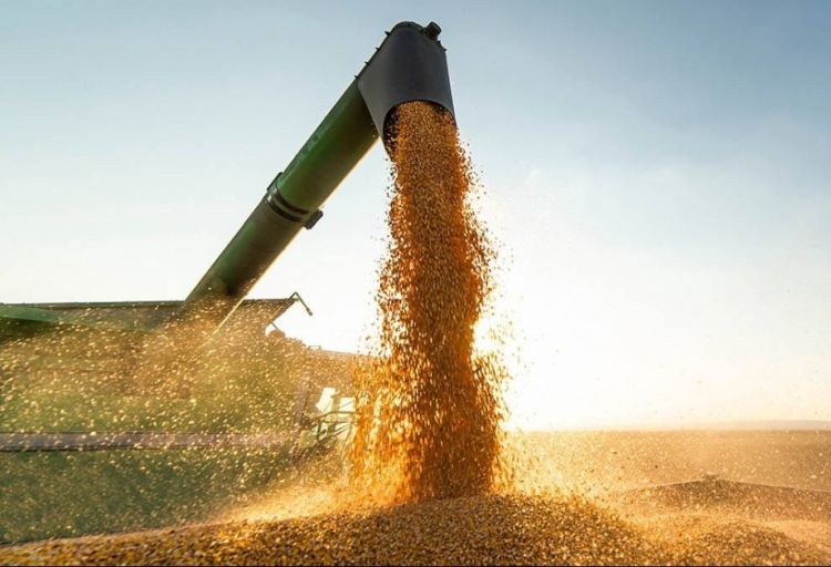 Türkiyə taxıl sazişinin uzadılması üzrə danışıqları davam etdirir