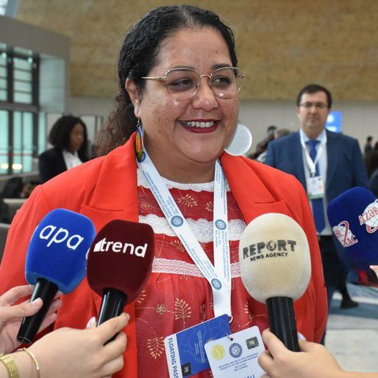 Maqali Tinqal: “Prezident İlham Əliyevin Fransanın müstəmləkəçilik siyasəti ilə bağlı dedikləri həqiqətdir”