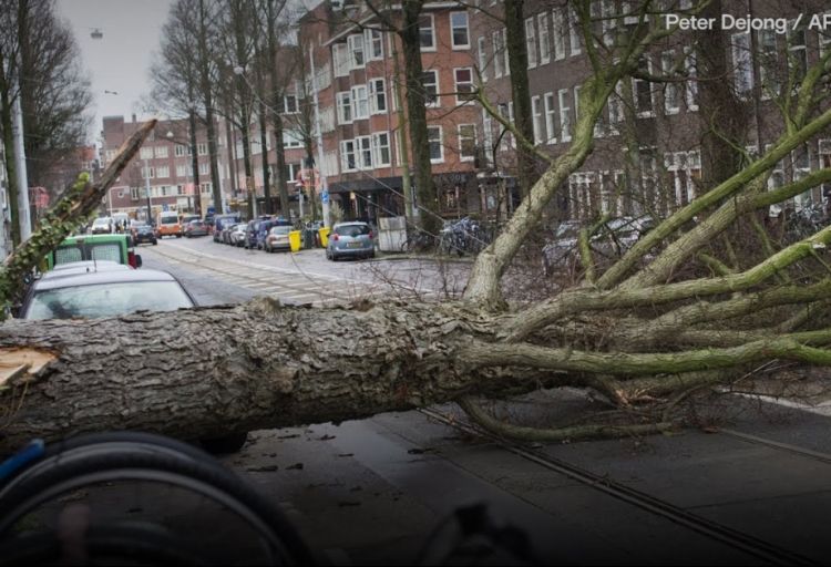 Niderlandda qasırğa səbəbindən 300 aviareys ləğv olunub