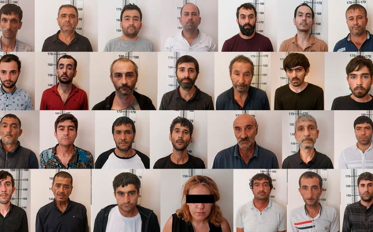 Bakıda çətənə kollarının kultivasiyası ilə məşğul olan şəxslər saxlanılıb<font color=red> - VİDEO</font>