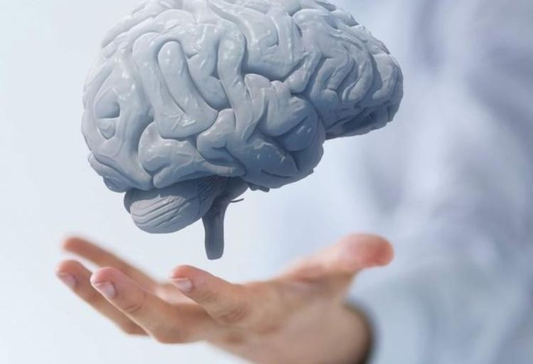 Keyfiyyətli yuxu və nizamlı idman insanın koqnitiv funksiyalarına müsbət təsir edir