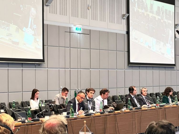 Qərbi Azərbaycan İcması ATƏT-in yüksək səviyyəli tədbirində təmsil olunub<font color=red> - FOTOLAR</font>