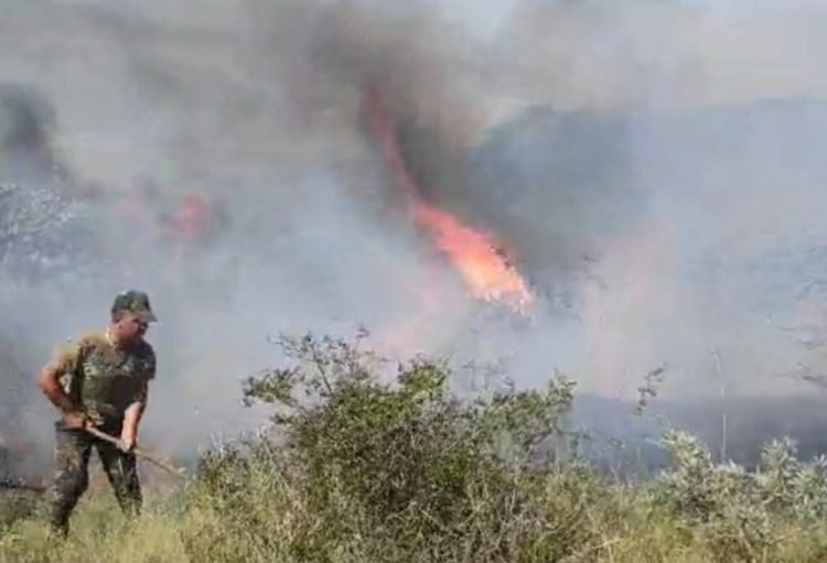 FHN: "Xızıda dağlıq-meşəlik ərazidəki yanğın məhdudlaşdırılıb"<font color='red'> - YENİLƏNİB</font>