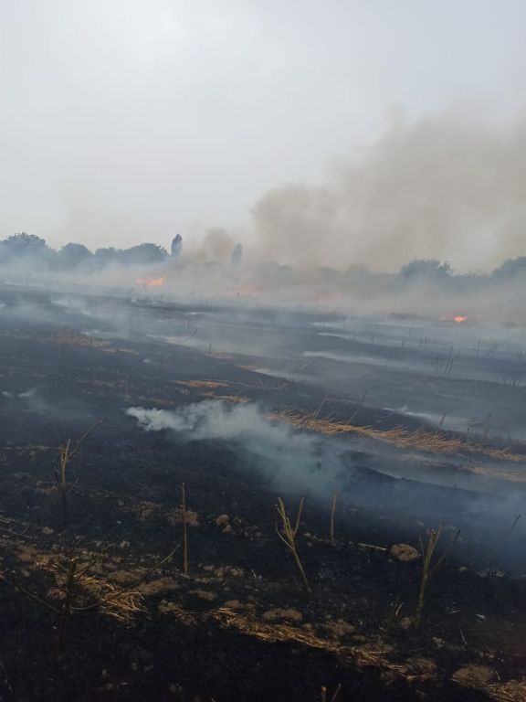 Şərur rayon Çərçiboğan kəndində biçilmiş taxıl sahəsində yanğın baş verib<font color=red> - FOTOLAR</font>