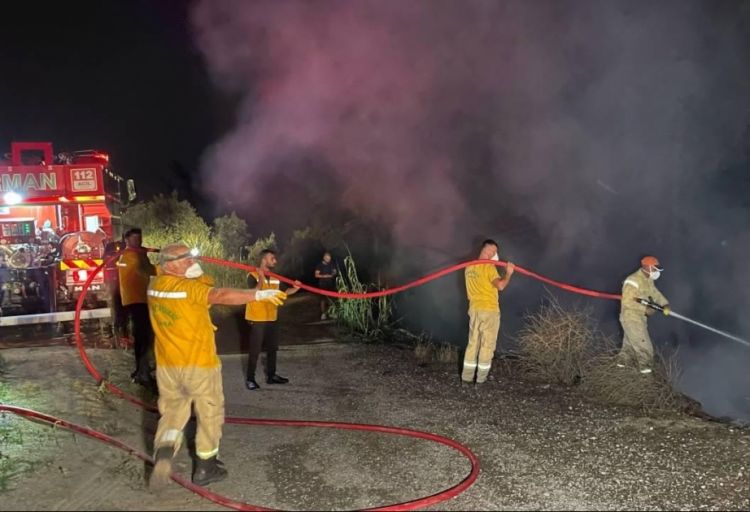 Bursada meşə yanğını: bir nəfər saxlanılıb