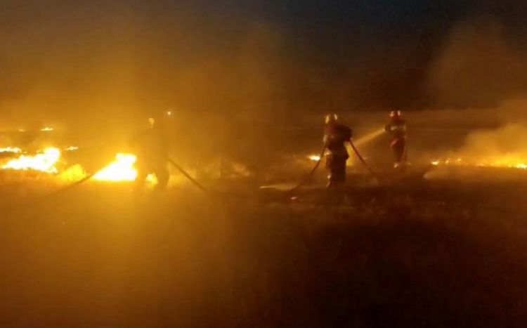 Sədərəyin Dəmirçi kəndində taxıl sahəsində yanğın olub<font color=red> - VİDEO</font>