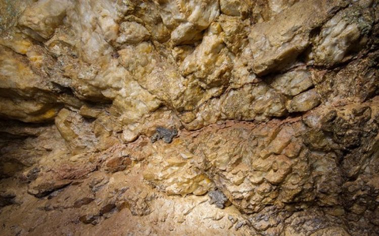 Azərbaycanda qeyri-filiz yataqları auksion, filiz yataqları isə müsabiqə qaydasında istifadəyə veriləcək