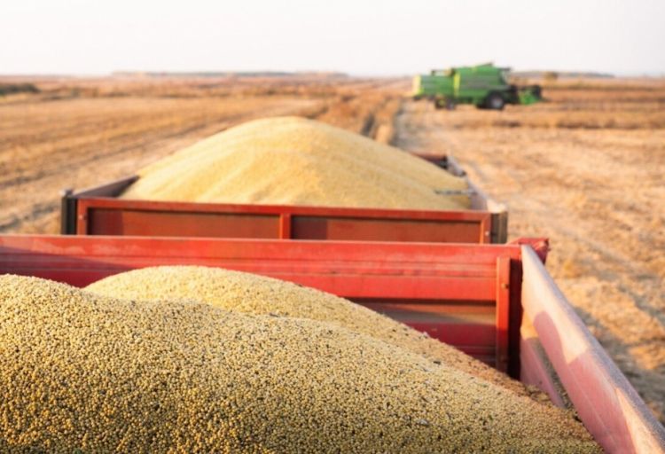 Jozep Borrel: Aİ Ukrayna taxılının quru yolla daşınmasını artırmalı olacaq