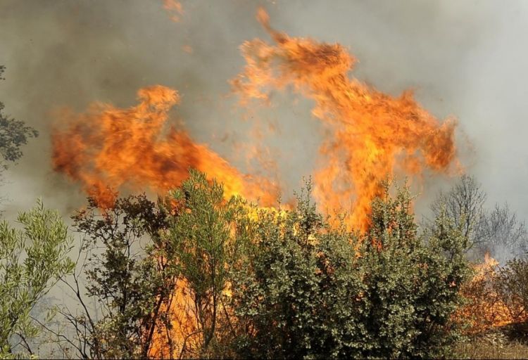 Əlcəzairdə havanın temperaturu yüksəlib: qırmızı xəbərdarlıq elan edilib