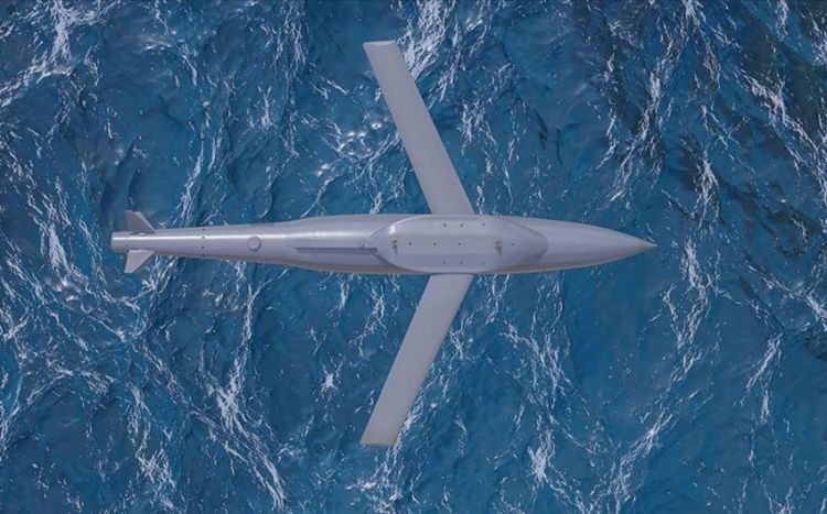 Türkiyə UÇA adlı yeni hərbi texnika istehsal edib<font color=red> - FOTOLAR</font>