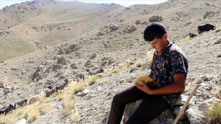 Türkiyədə 14 yaşlı məktəbli keçi otara-otara imtahandan yüksək bal toplayıb<font color=red> - FOTOLAR</font>