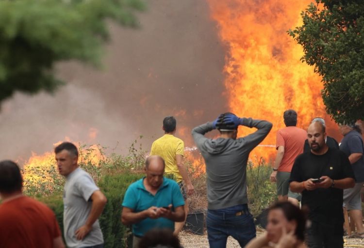 Aralıq dənizi ölkələrində 40-dan çox insan meşə yanğınının qurbanı olub